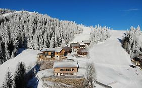 Almhütten Moselebauer